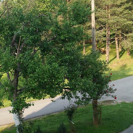 Apartment Drago Rakovica Zewnętrze zdjęcie